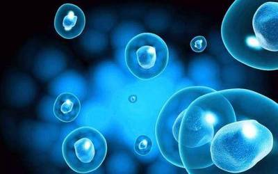 抗癌藥價最高降51% 價格高局面有望緩解 生物防治技術開辟新徑